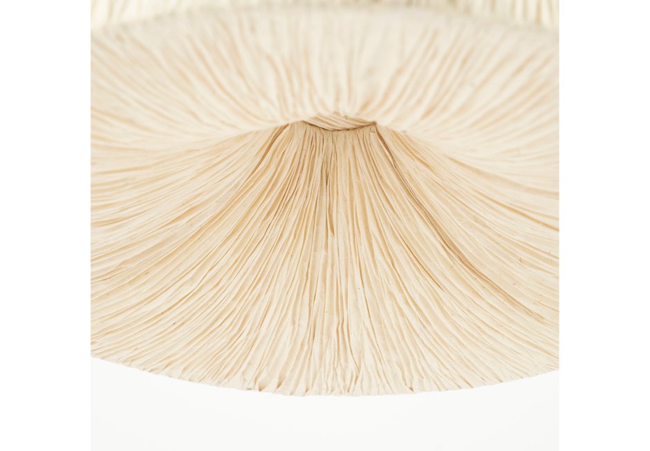 LOKTA PENDANT-BB 240137 2